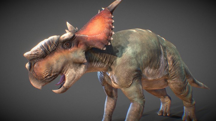 Pachyrhinosaurus lakustai (For animation) 3D Model
