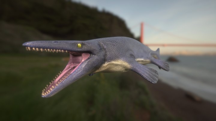 Mosasaurus 3D Model