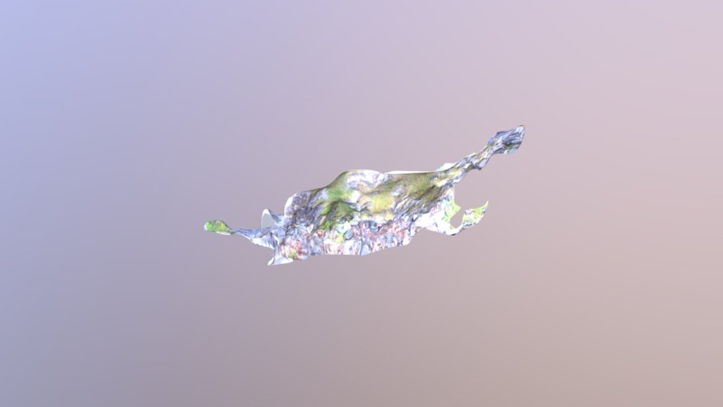 Mesh scan