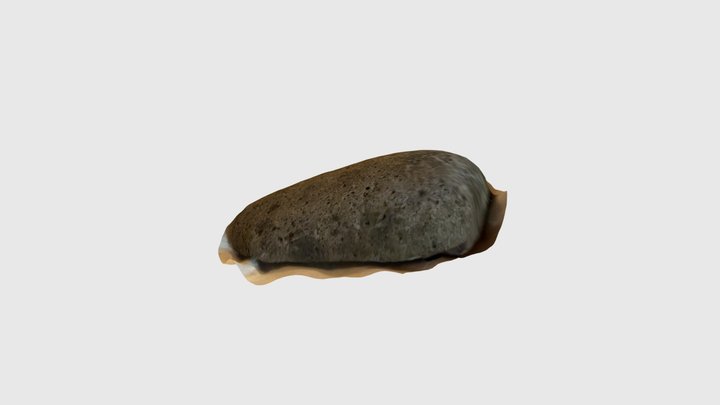 Rock 3D Model