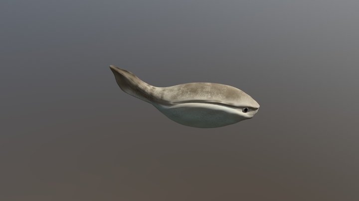 Arandaspis 3D Model