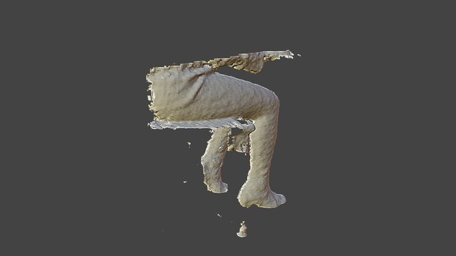 Feet/Lower Body position 3D Model
