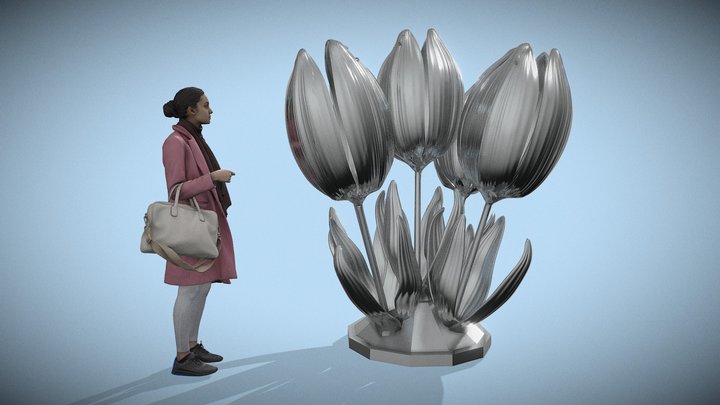 Цветок Азии 3D Model