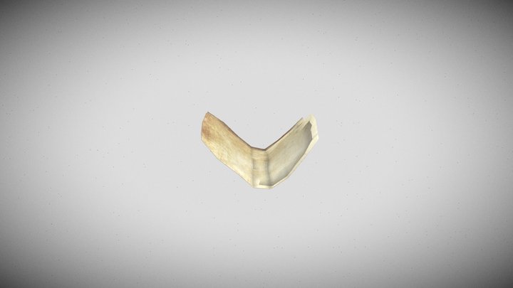 Flying Paper 3D Model