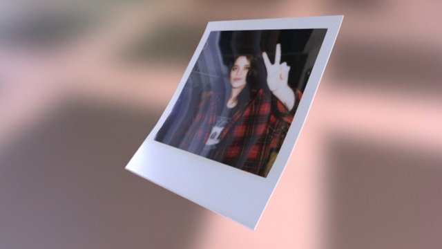 Polaroid Photo Sample 3D Model