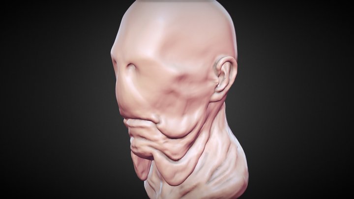 Paleman 3D Model