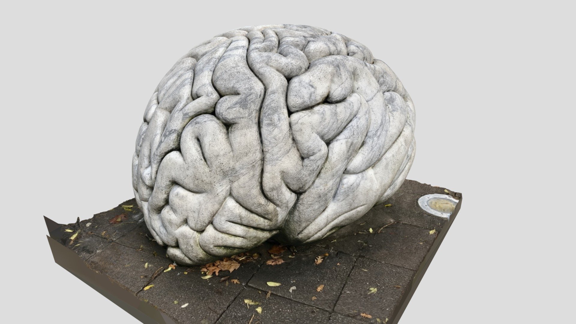 Norwich Brain