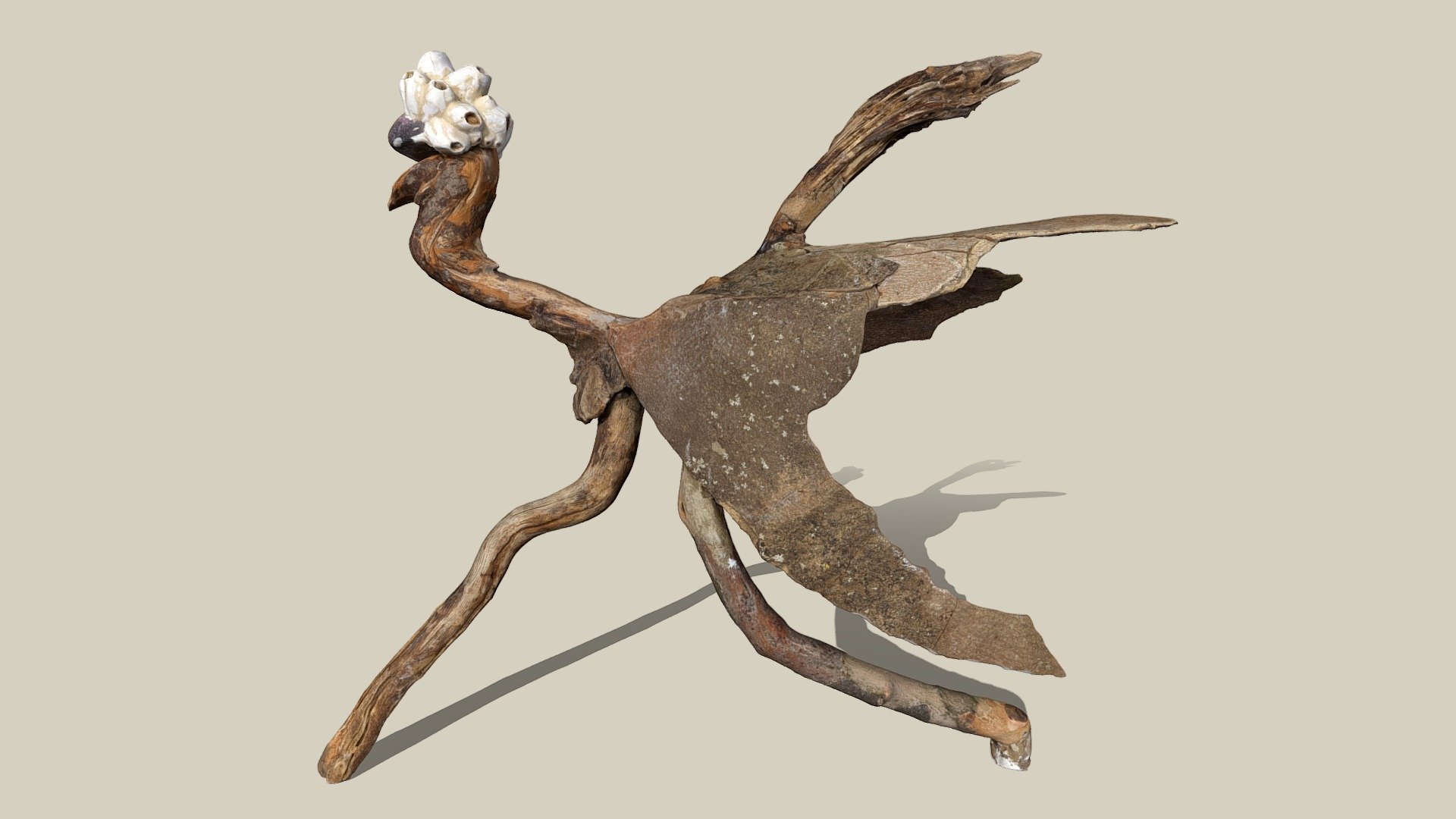 Laufvogel — Sketchfab embed 3D viewer