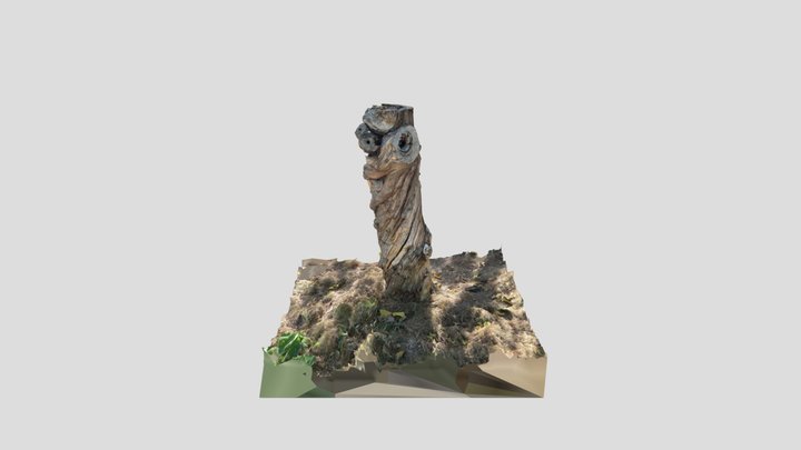 Stump 3D Model