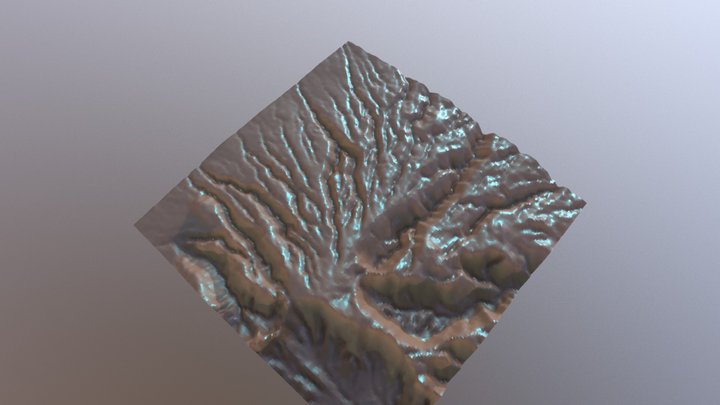 Pu'u Kukui, Hawaii Radial Stream 3D Model