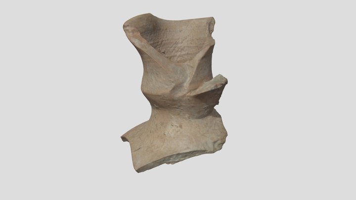 Trefolia Vessel - Cosa Excavations C19.207 3D Model