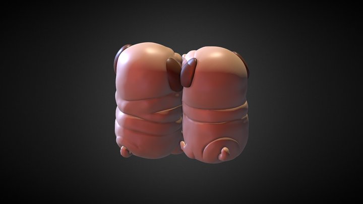Pugs in love 3D Model