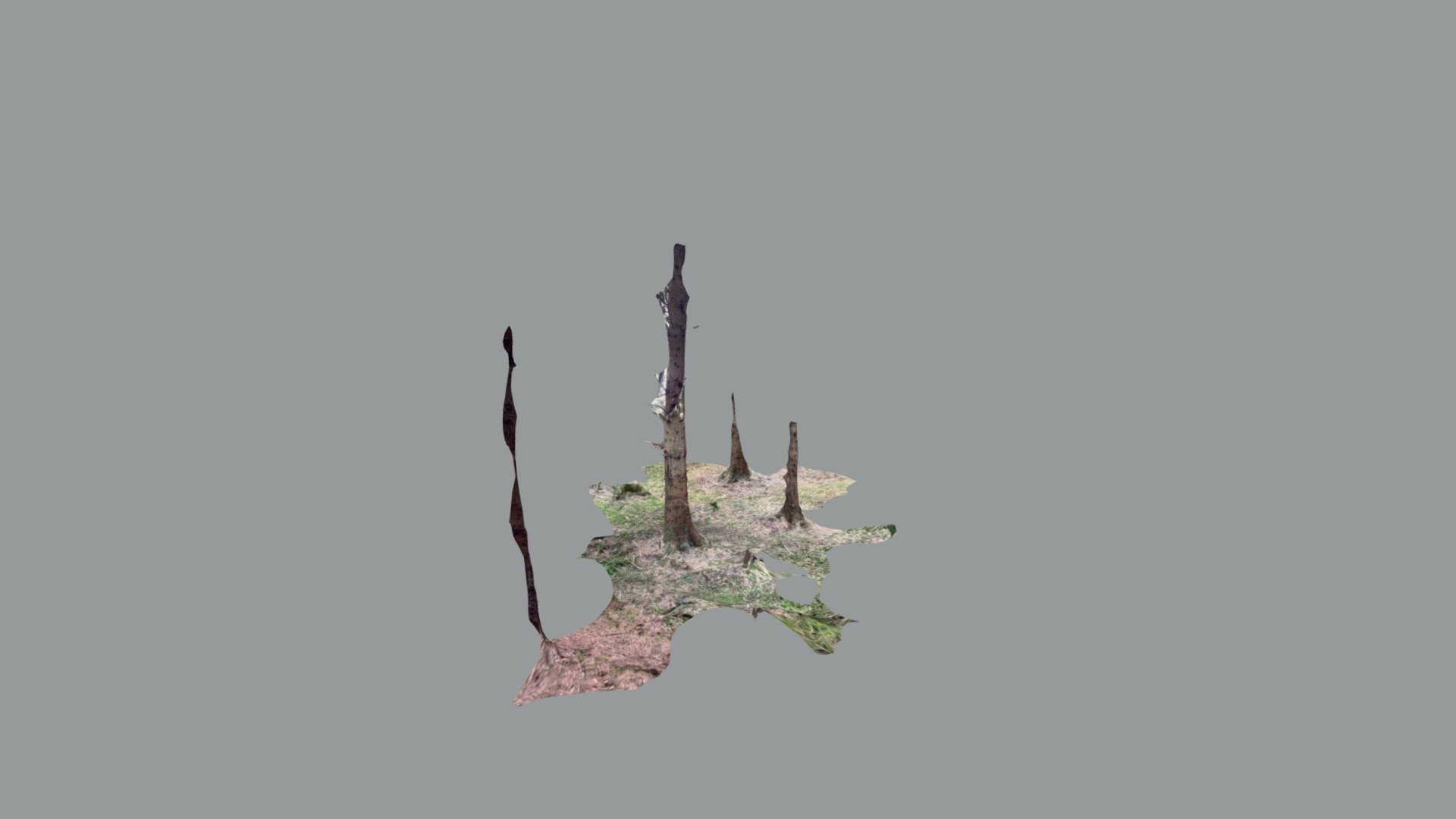 Tree 2