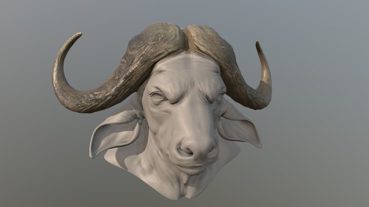 Buffalo_low 3D Model