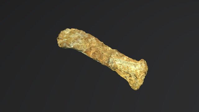 Radio Titanossauro 3D Model