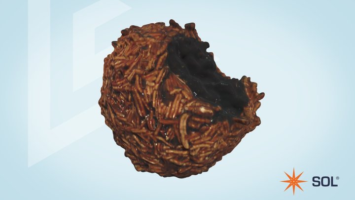 Rum ball with bite - SOL 3D Model