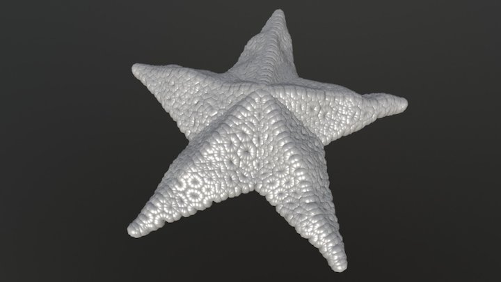Zvezda 3D Model