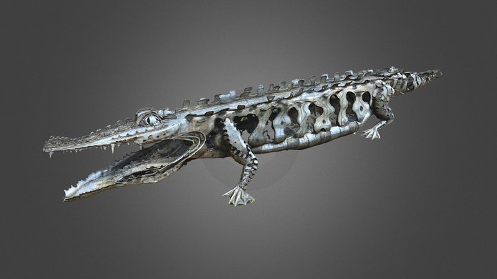 Crocodile sculpture - LSM, Lubin, Poland 3D Model