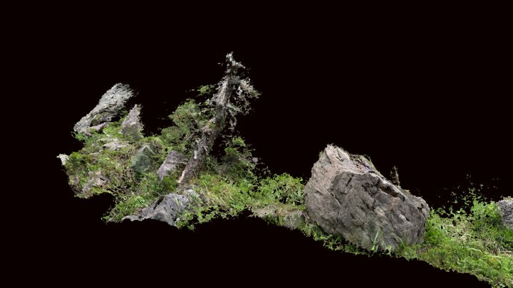 Untitled Scan 3D Model