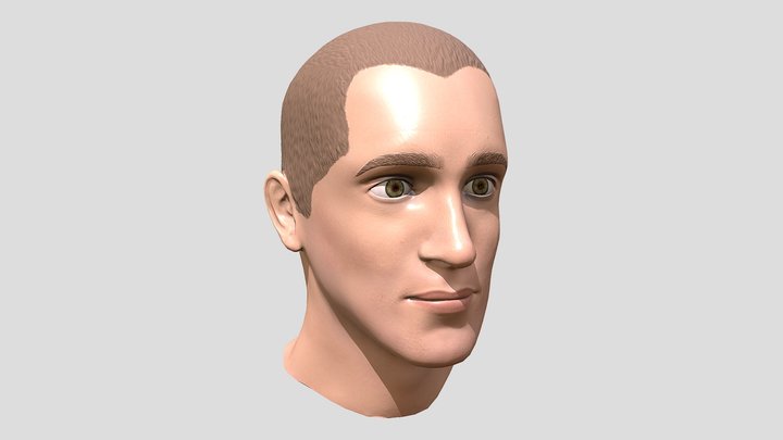 Male Game Res Bust 3D Model