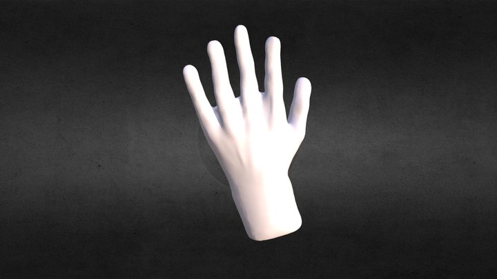 Hand Model Object 3D Model