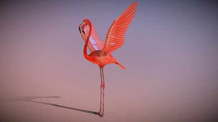 flamingo_rigged 3D Model