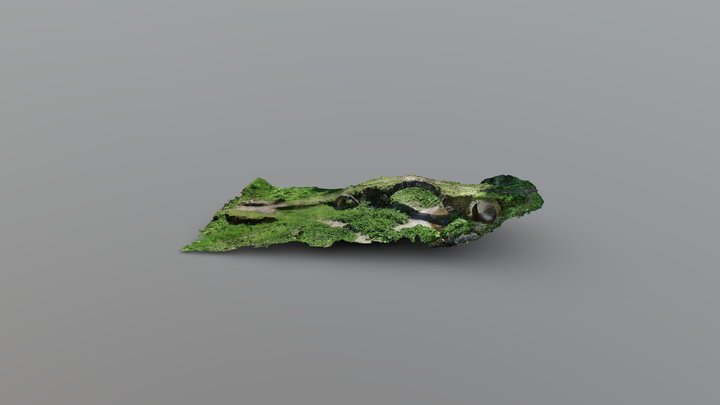 Ponte del Diavolo 3D Model
