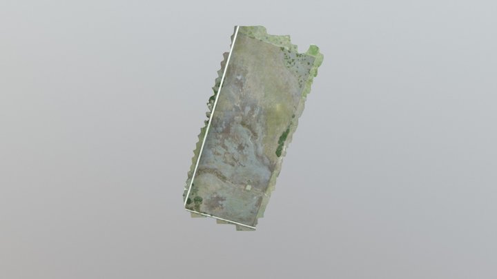 Land for sale south of Shive, TX 3D Model