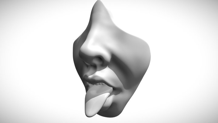 1 Mouth and Nose 3D Model