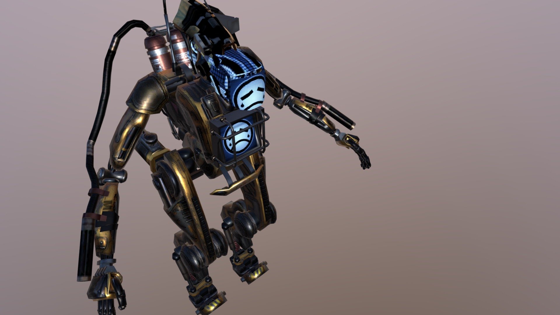 Electronic Face Robot