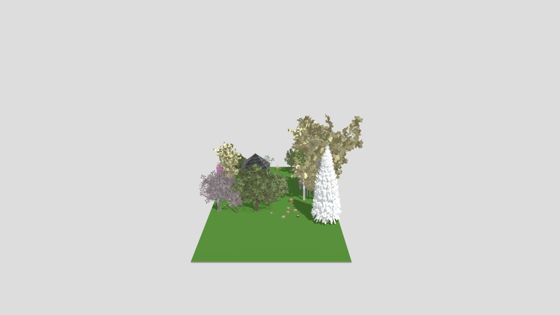 New project