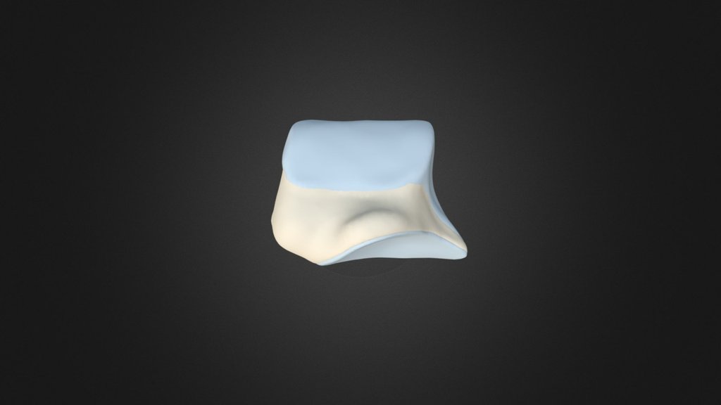 Talus test - 3D model by docskalski [fe44941] - Sketchfab