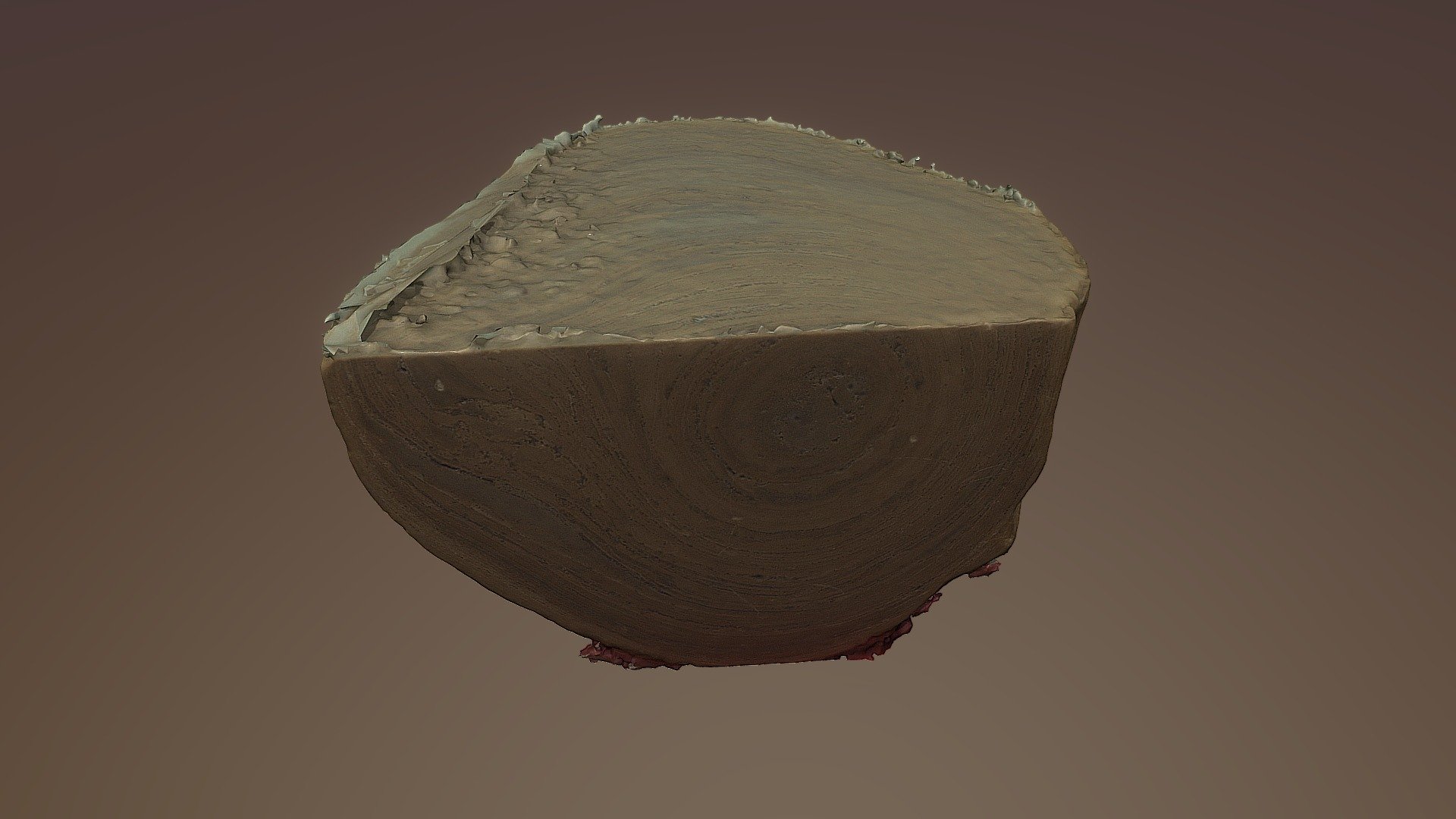 Stromatolite