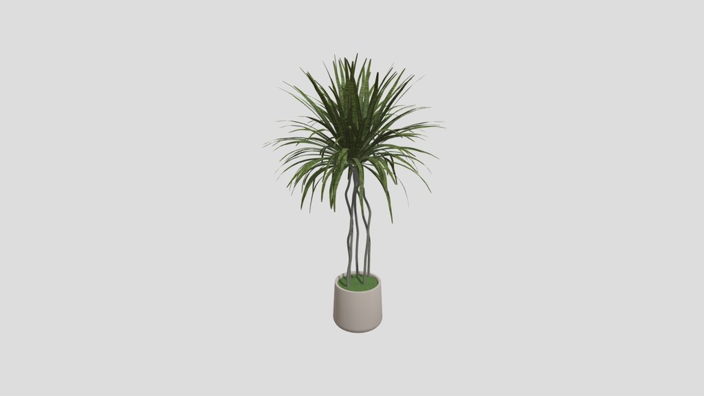 Plant