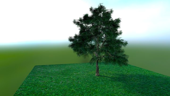 Tree Test Model 3D Model