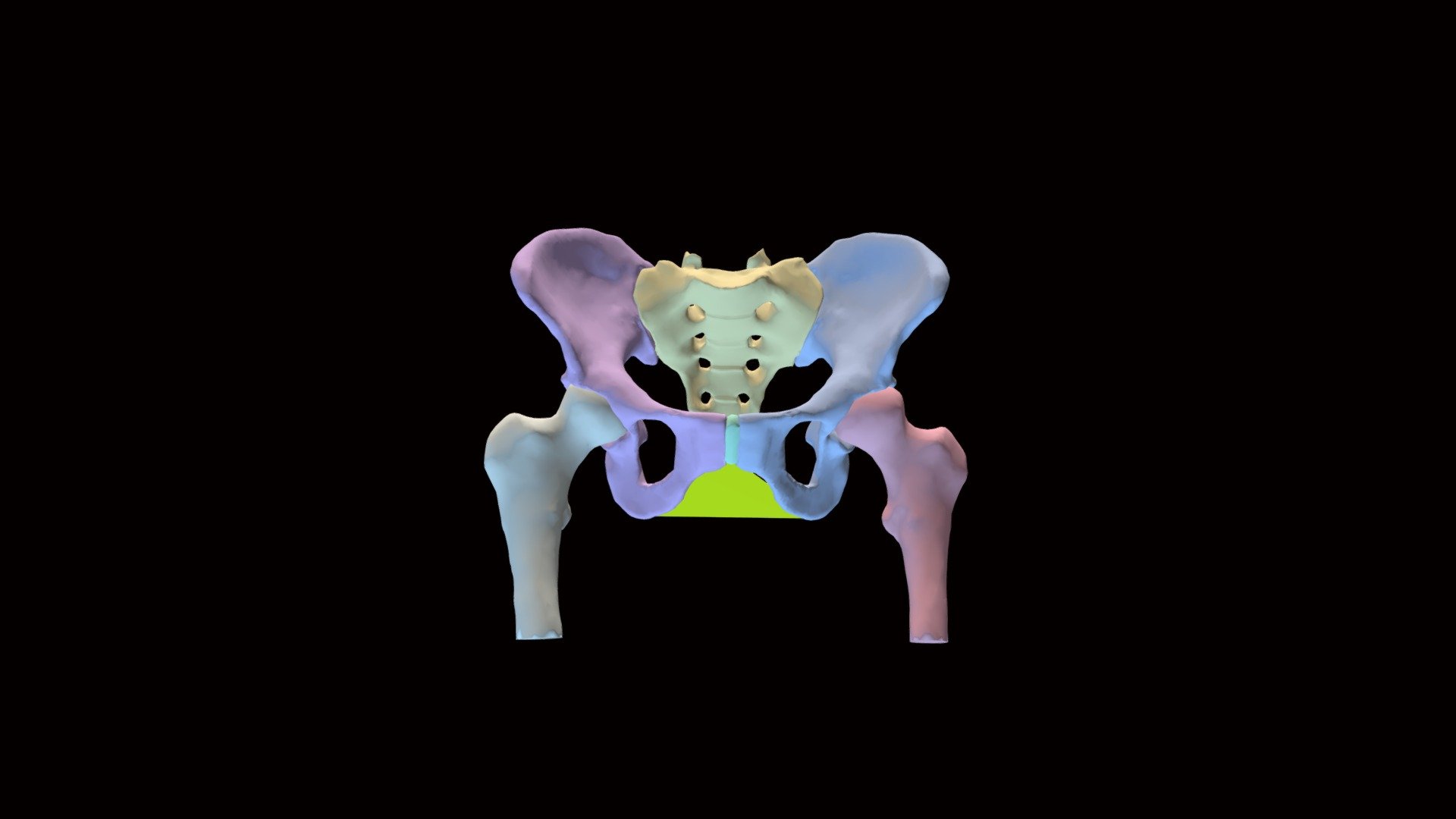 Perine Bölgesinin Sınırları - 3D model by John A Burns School of ...
