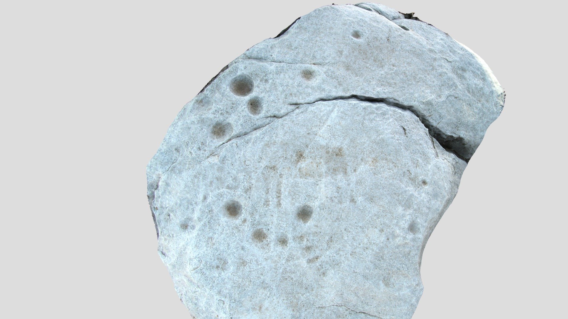Alibates Petroglyph - Quadruped