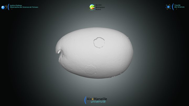 Ostracode - test de V.hilgendorfii – Kostenloses 3D-Modell STL
