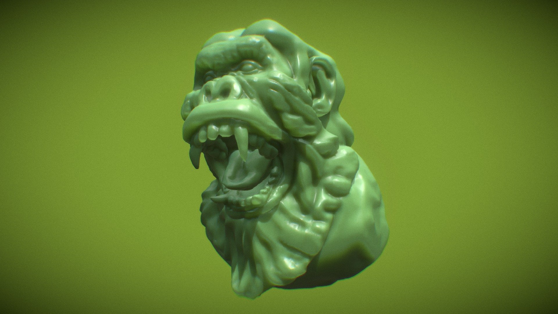 Primate