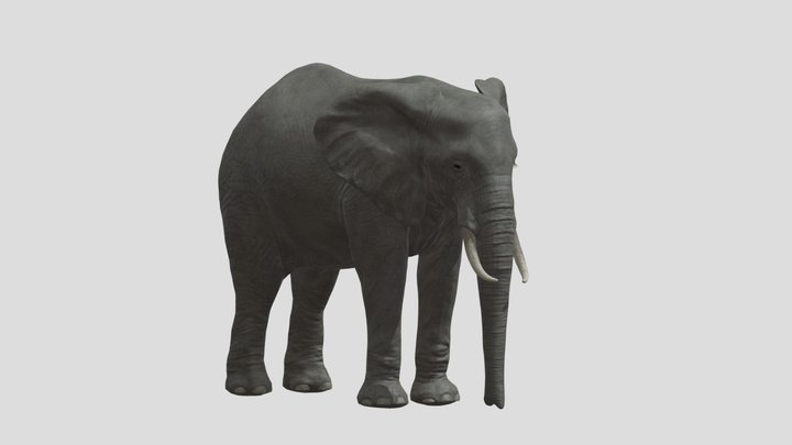 Female African Elephant Planet Zoo 3D Model