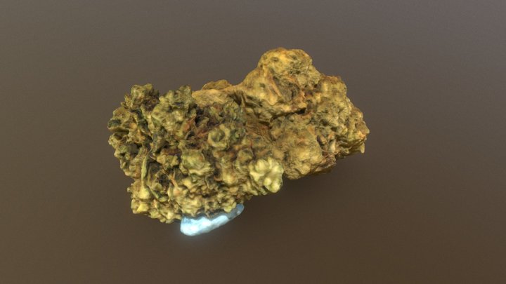 Dank Nug 3D Model