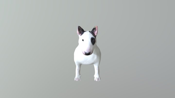 Bull Terrier 3D Model