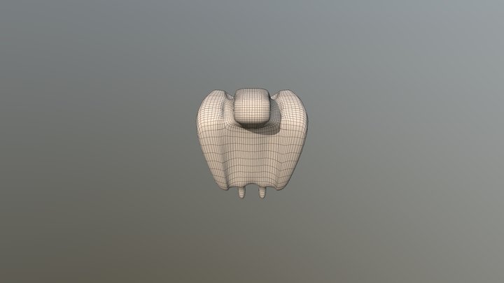Turtle_vulture_smooth 3D Model