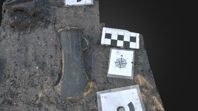 MustFarm SF3533  Socketed Axe 3D Model