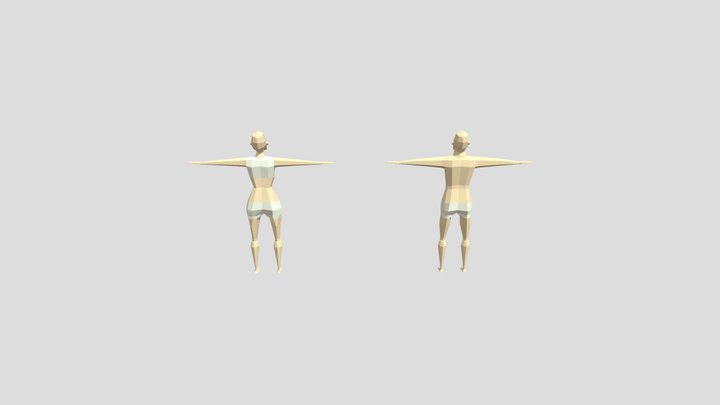 SW person 3D Model