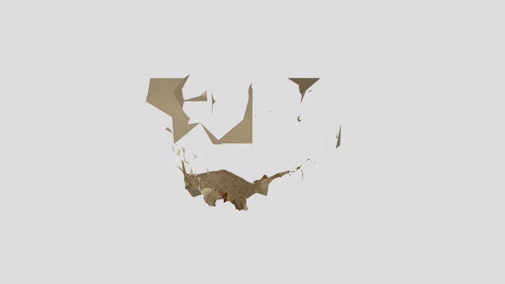 AUDAA - Site Visit 3D Model