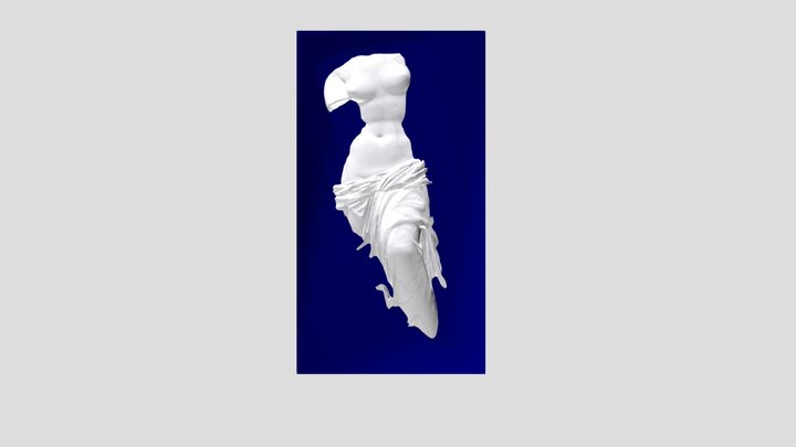 VENUS KLEIN 3D Model
