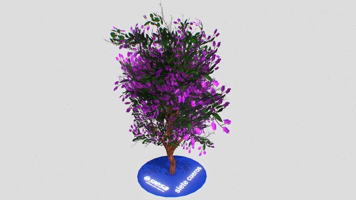 7 Cueros 3D Model