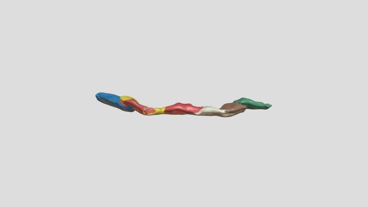 colour snake – Kostenloses 3D-Modell STL