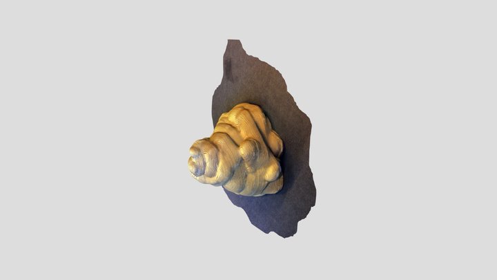 A TRNIO Model 3D Model